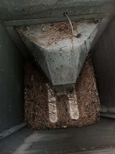 Before cleaning leaves and debris